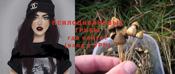 эйфоретик Белокуриха